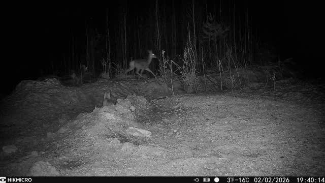 632361298 1204644351843150 1064142173167092461 n