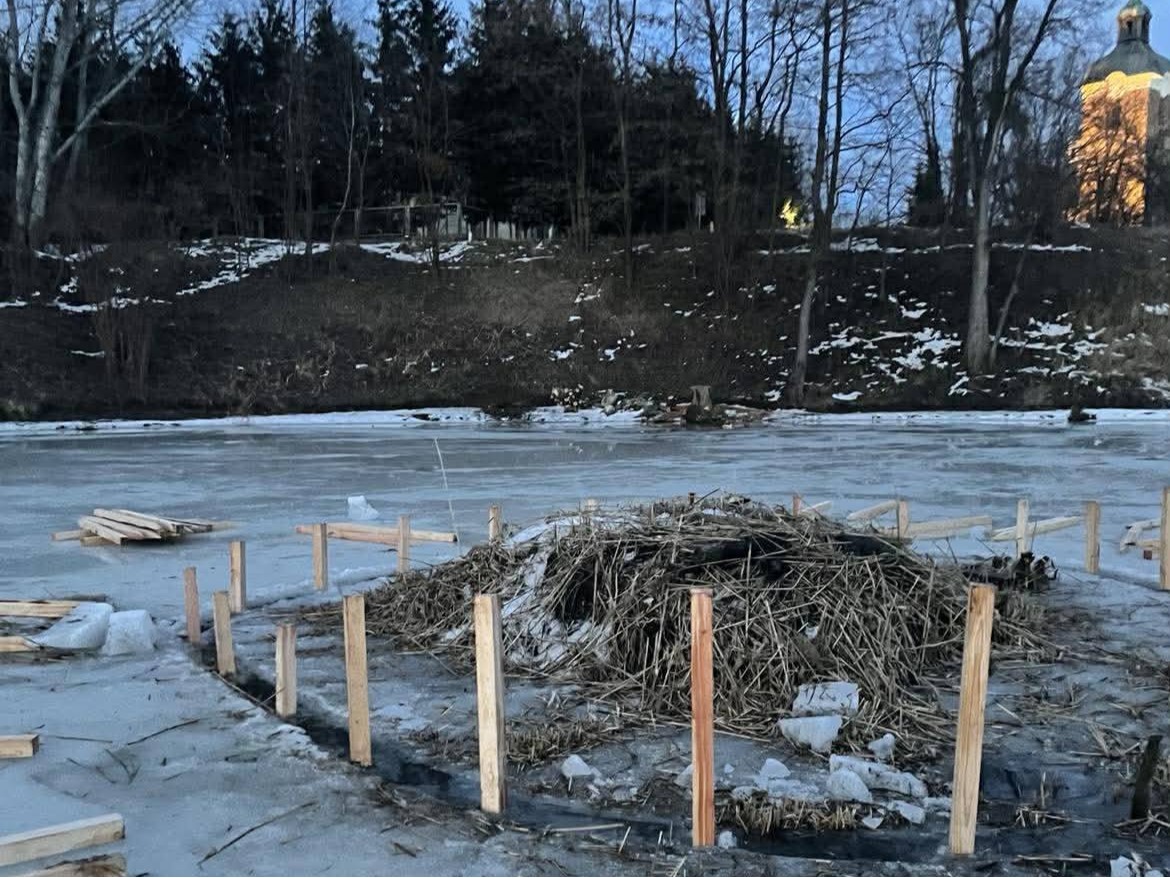 632480967 1417798476804822 2236207291594399314 n1