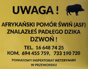 632662707 1367337232103775 8569738983678598823 n