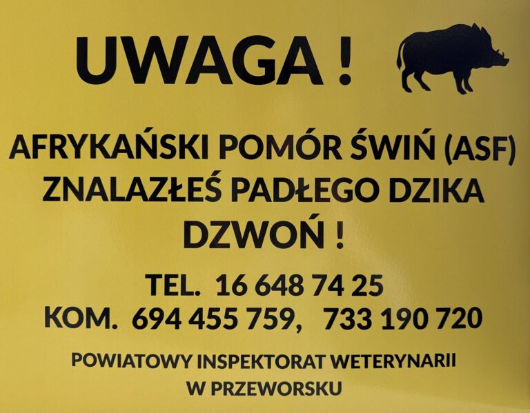 632662707 1367337232103775 8569738983678598823 n