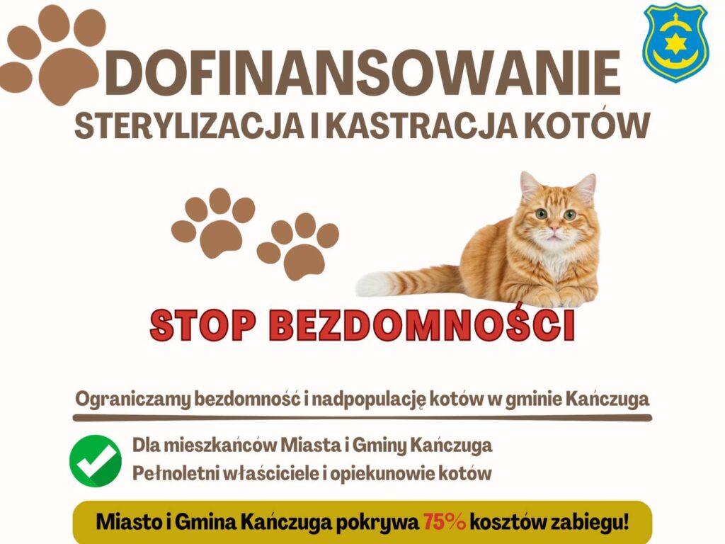 636768108 1370957448408420 630504193690361985 n1