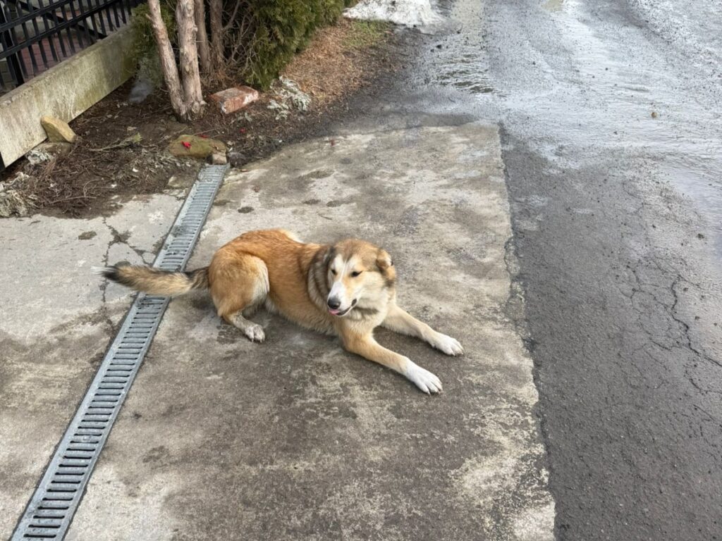 636870159 122211130298310265 5834236803861420760 n1