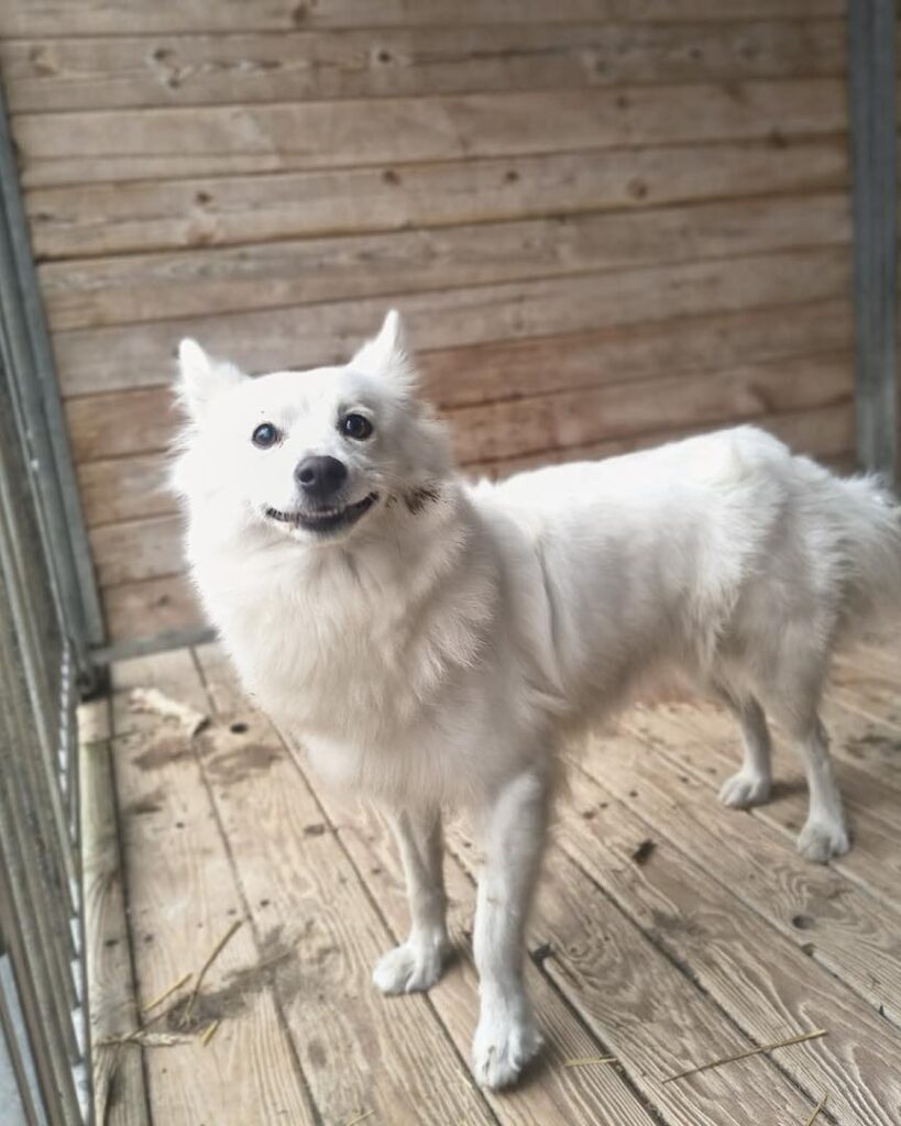 638612562 1334736392016091 2260863342374756444 n