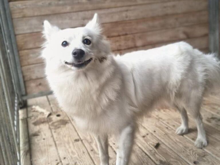 638612562 1334736392016091 2260863342374756444 n1