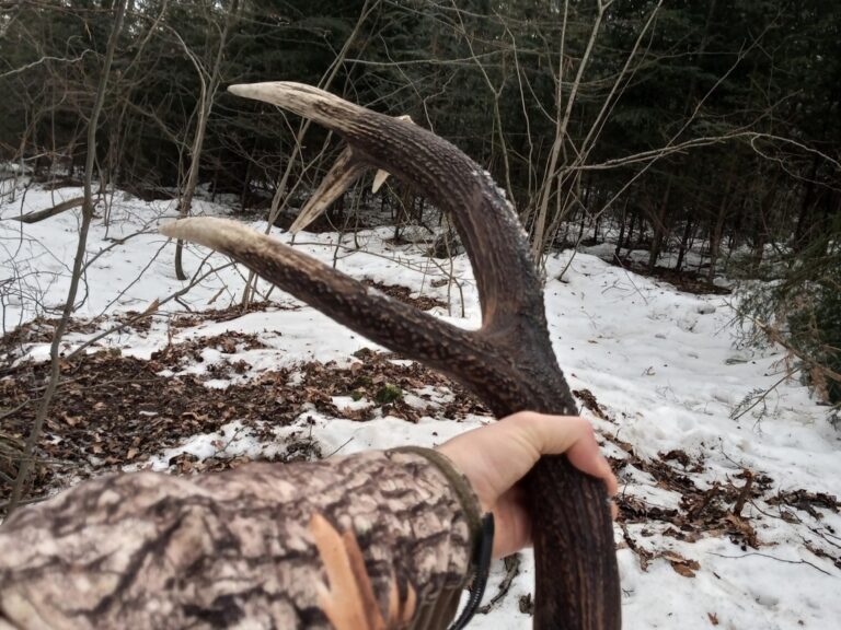 641264056 1349417537215124 5991874381570660394 n1