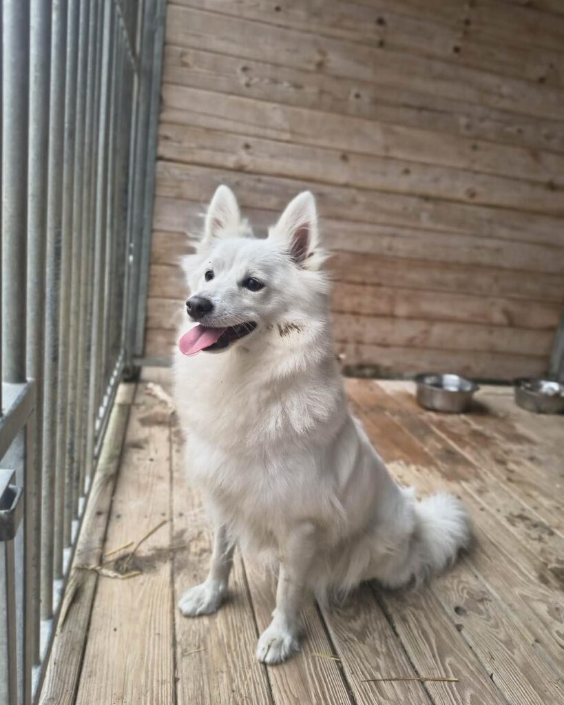 641294759 1334736388682758 1835276892041248851 n