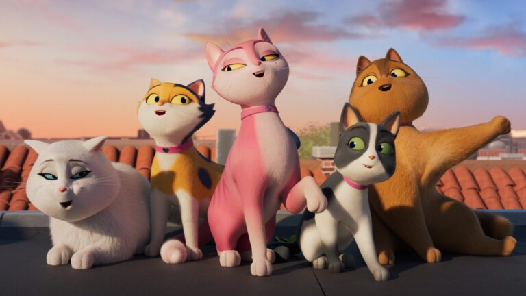 Miss Moxy. Kocia ekipa 1 scaled