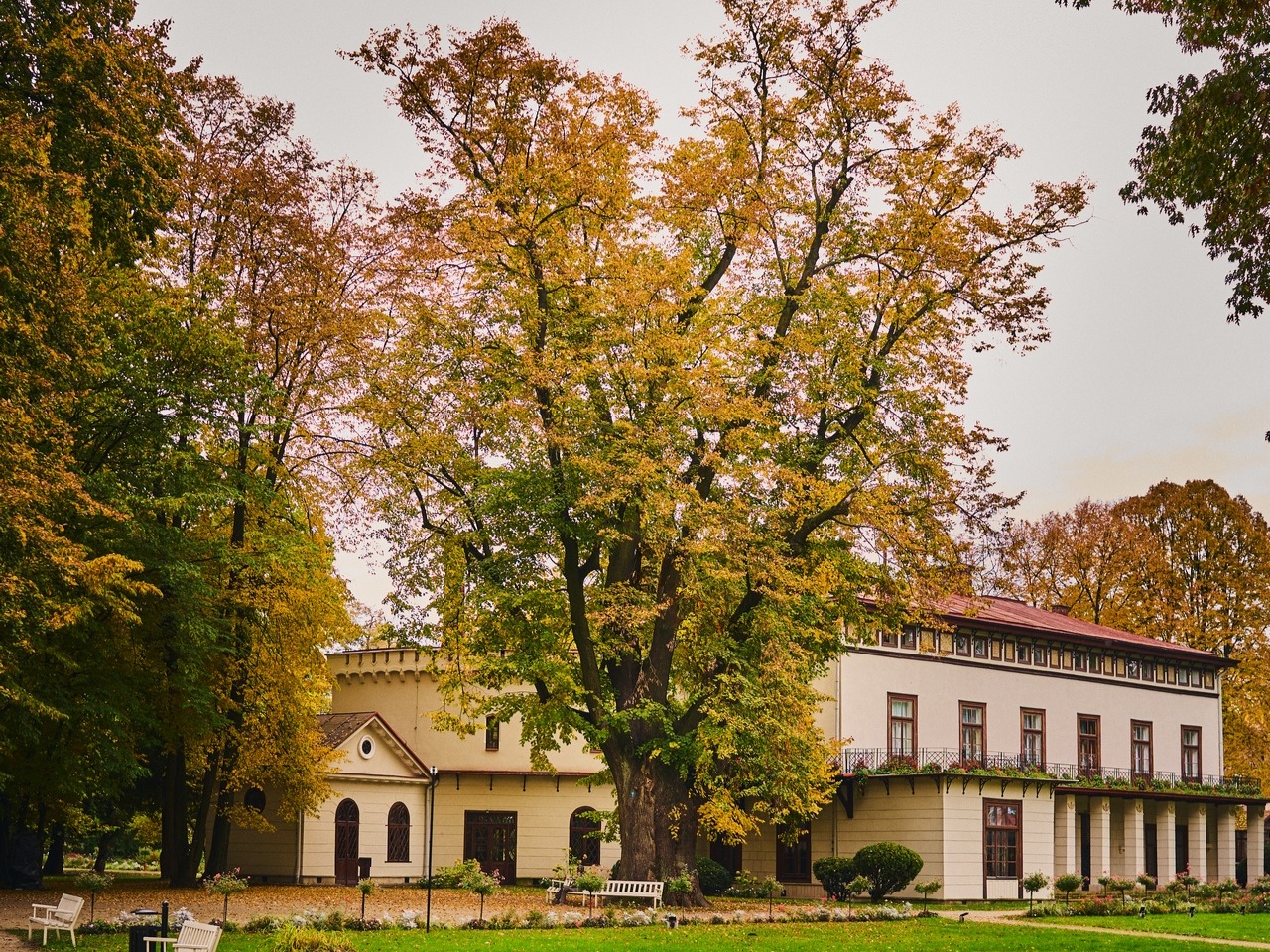 Lokalna Gazeta Internetowa