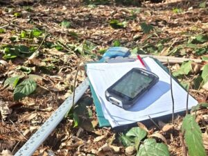 Leśnicy podczas wykonywania szacunków brakarskich w lesie w Nadleśnictwie Kańczuga