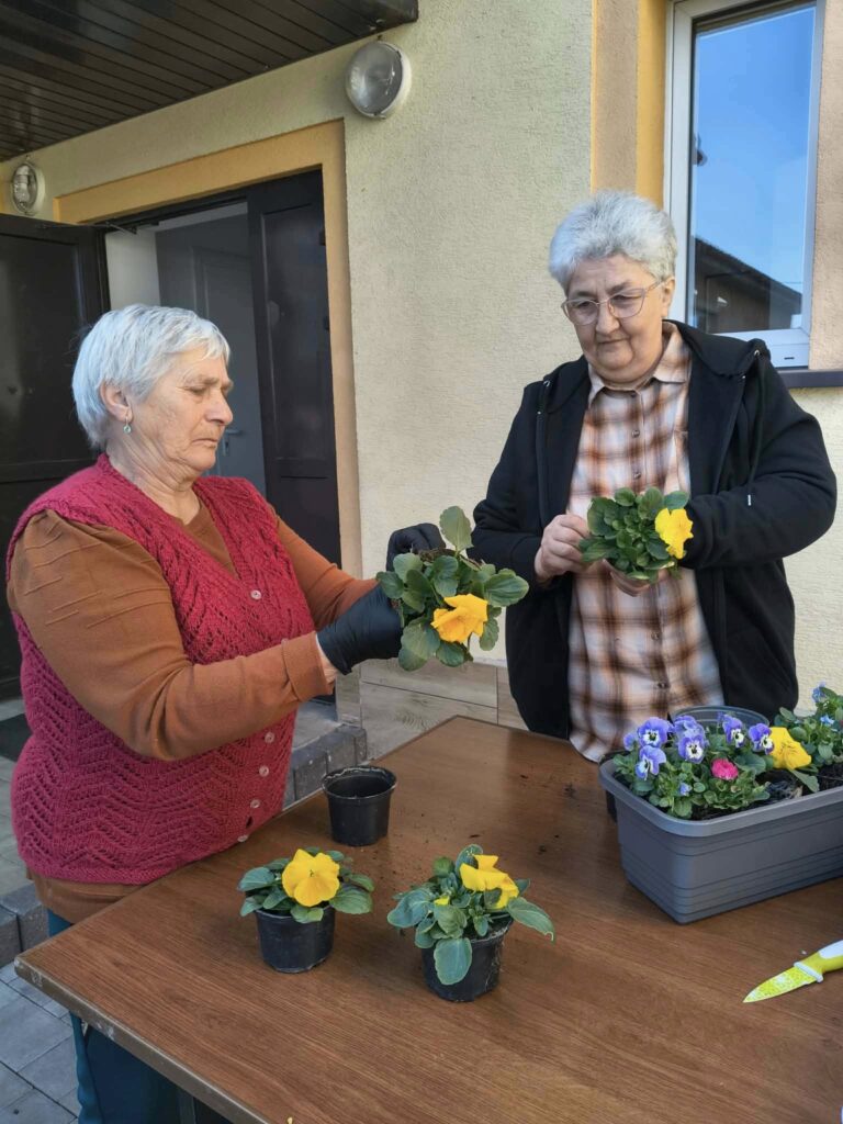 Dwie Osoby Sadzą Kwiaty Na Stole.