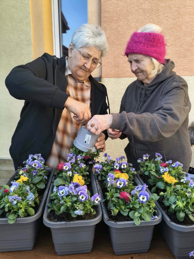 Sadzenie Kwiatów W Doniczkach.
