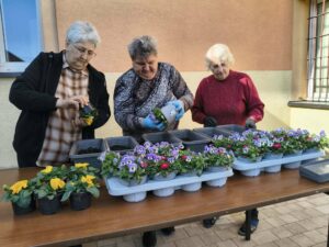 Sadzenie kwiatów w doniczkach.