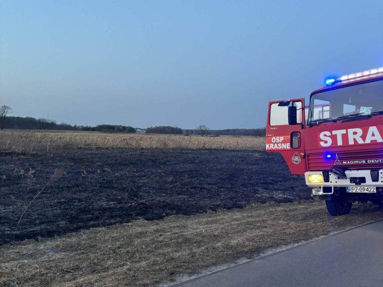 Samochód strażacki podczas działań przy pożarze suchych traw pomiędzy Dobczą a Cieplicami