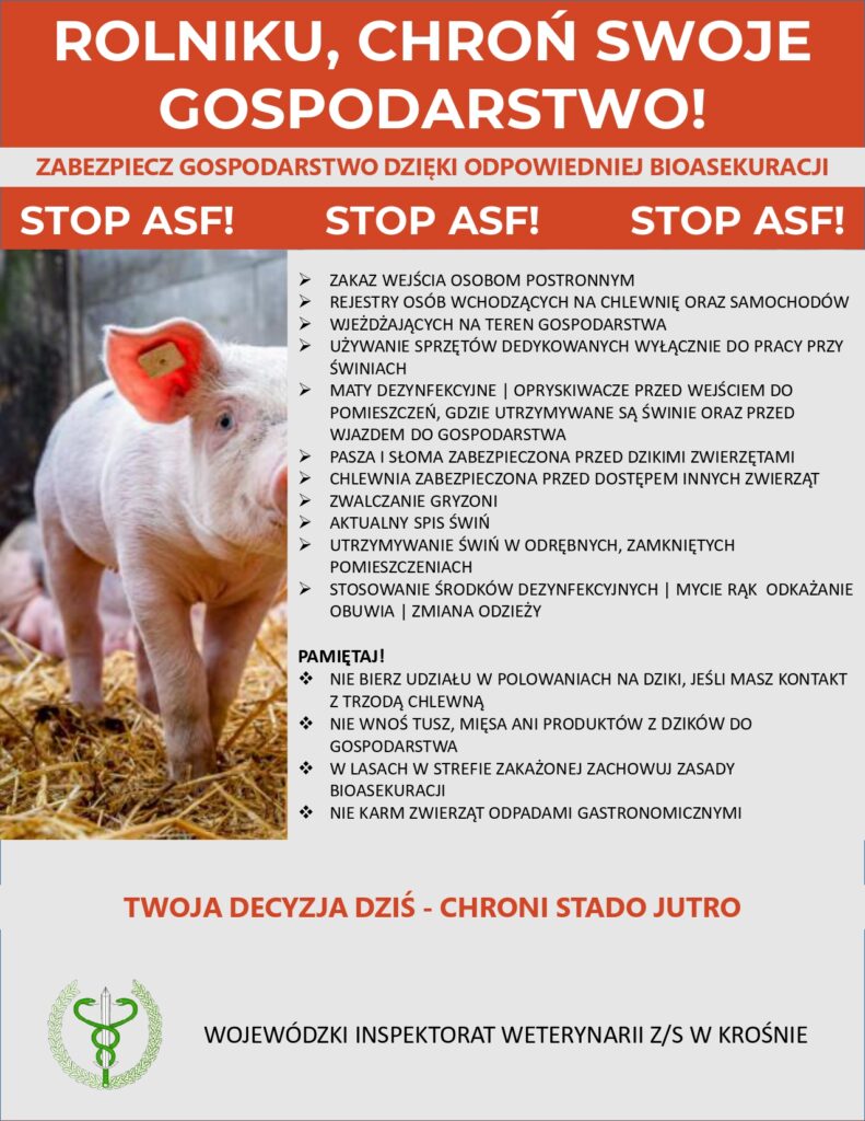 Asf W Regionie. 124 Padłe Dziki I Apel O Bioasekurację