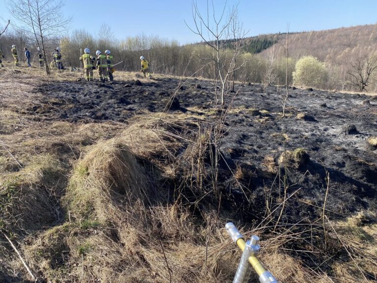 Strażacy gaszą pożar traw i nieużytków rolnych w Woli Rzeplińskiej.