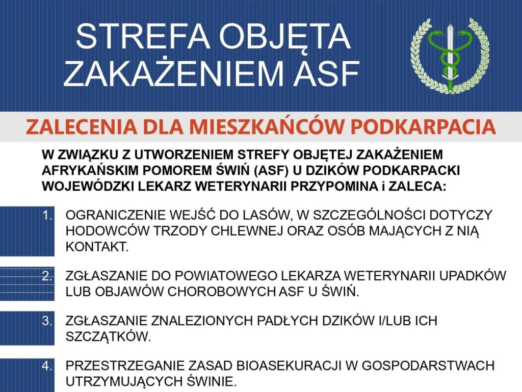 Informacja o ASF i padłych dzikach w powiecie przeworskim, komunikat weterynarii
