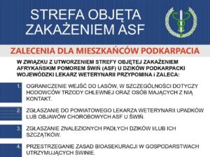 Informacja o ASF i padłych dzikach w powiecie przeworskim, komunikat weterynarii
