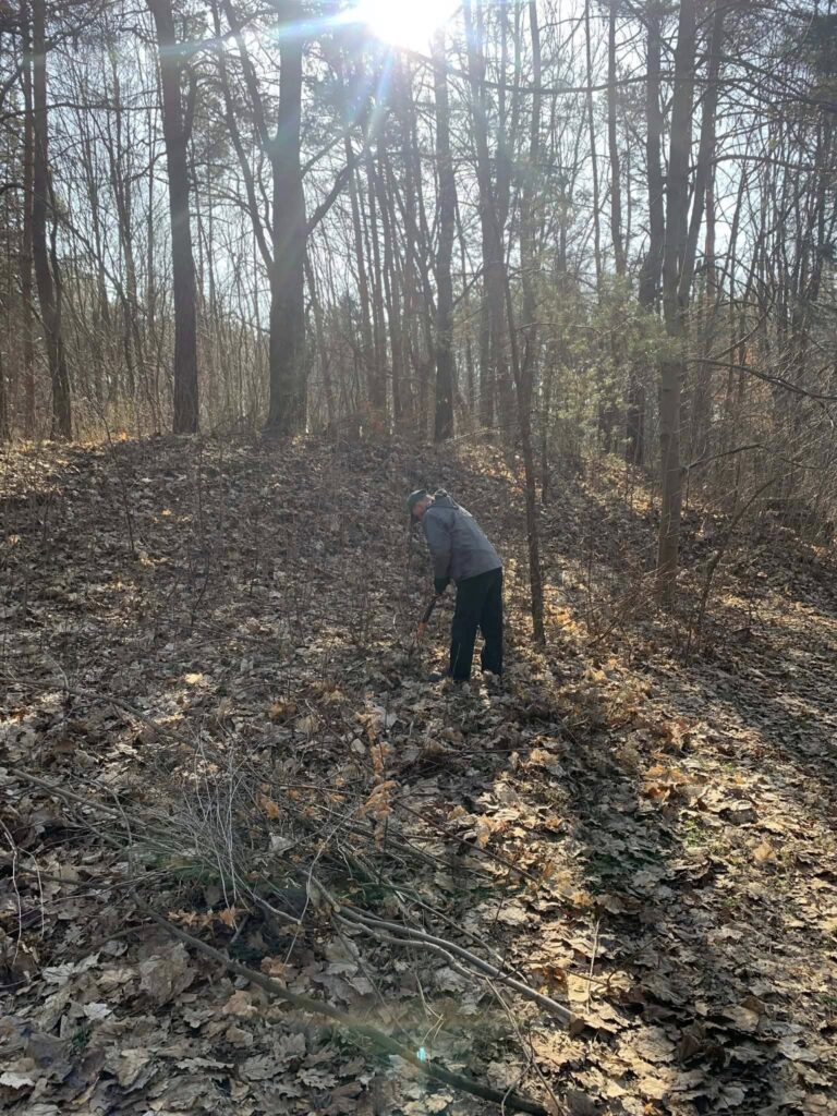Wiosenne Porządki W Gminie Tryńcza. Uczestniczki Cis Posadziły Pierwsze Bratki