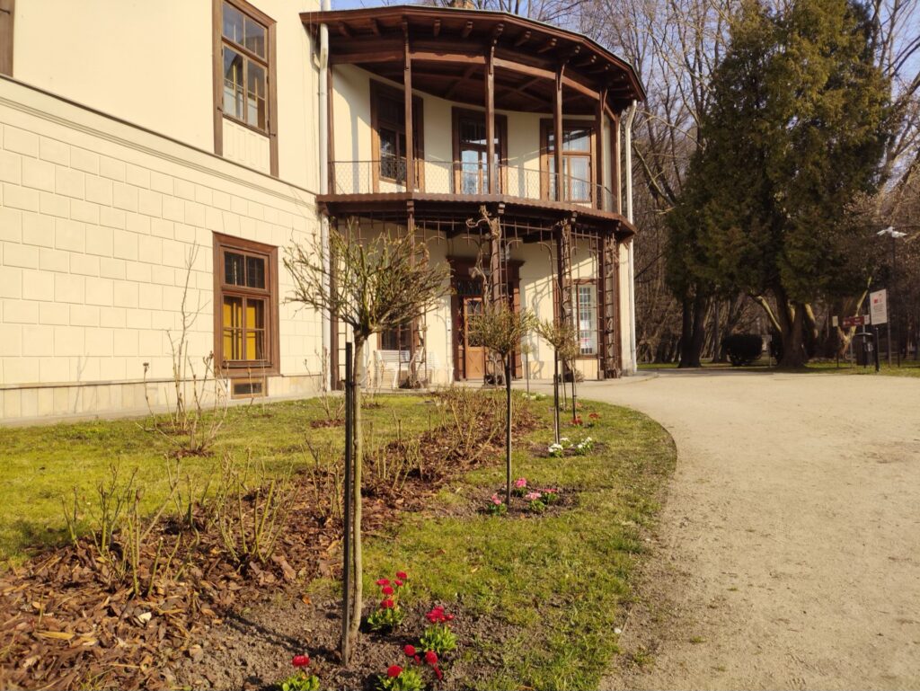 wiosna w przeworskim parku