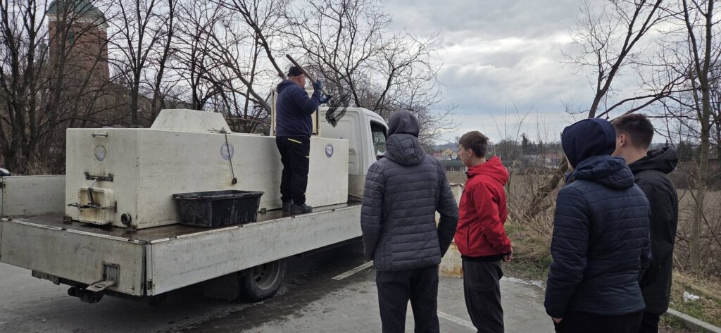 Nowi Mieszkańcy Przeworskiego Zakola. 50 Kg Karpia Trafiło Do Wody