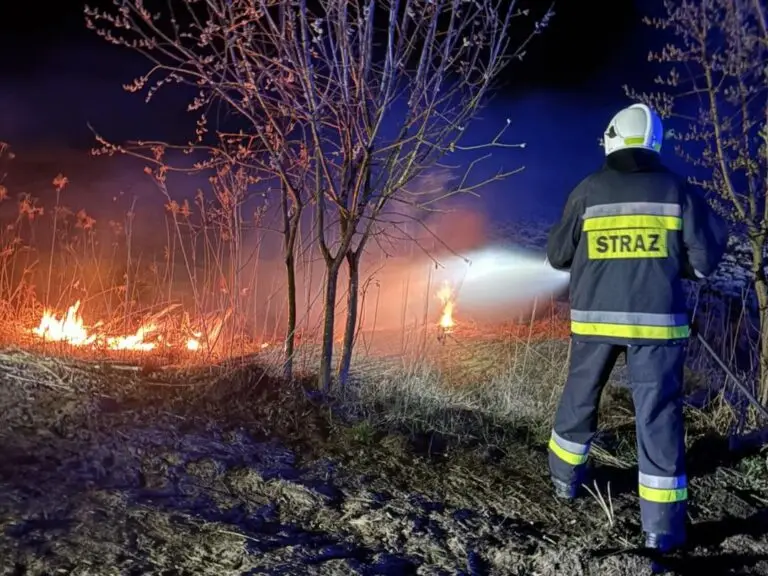 Strażacy gaszą pożar suchych traw i nieużytków w Łopuszce Małej