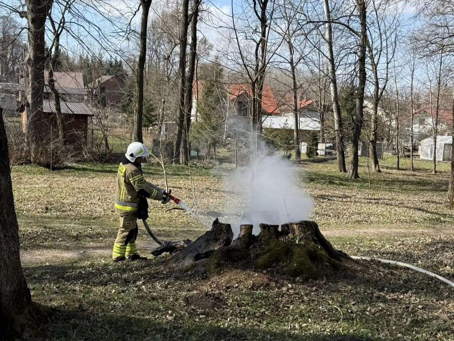 Lokalna Gazeta Internetowa 9 Strażacy Gaszą Palące Się Konary I Pniaki W Parku W Krzeczowicach