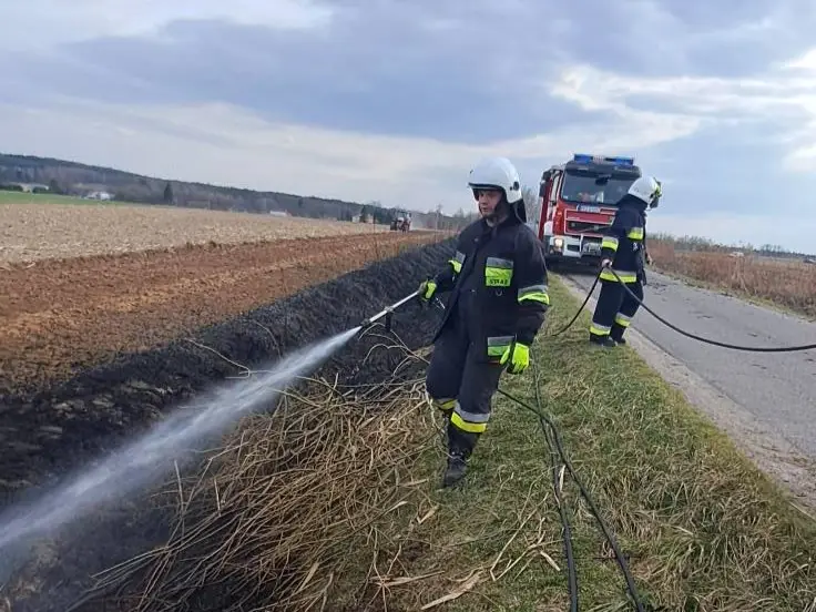 Strażacy gaszą pożar traw w miejscowości Rudka w powiecie przeworskim