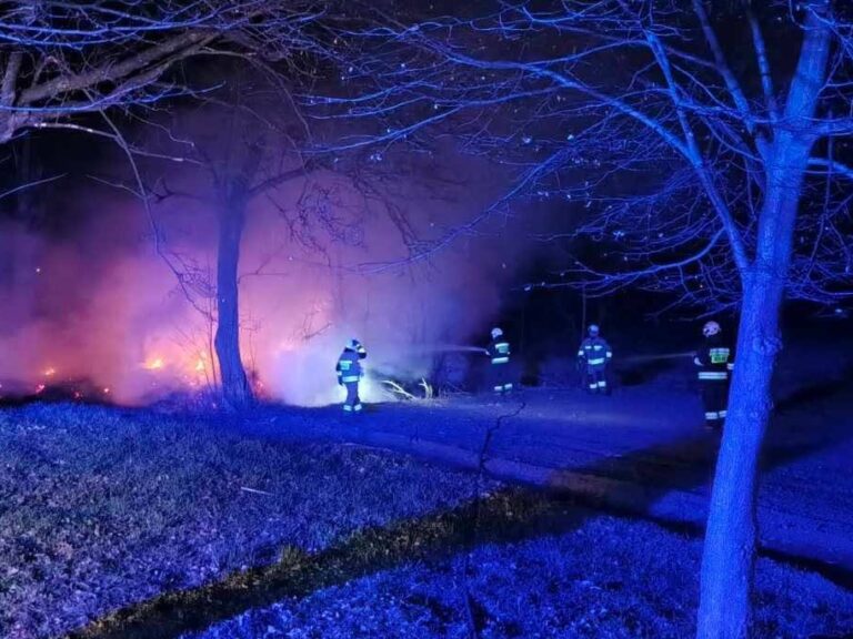 Strażacy gaszą pożar liści w parku w Urzejowicach