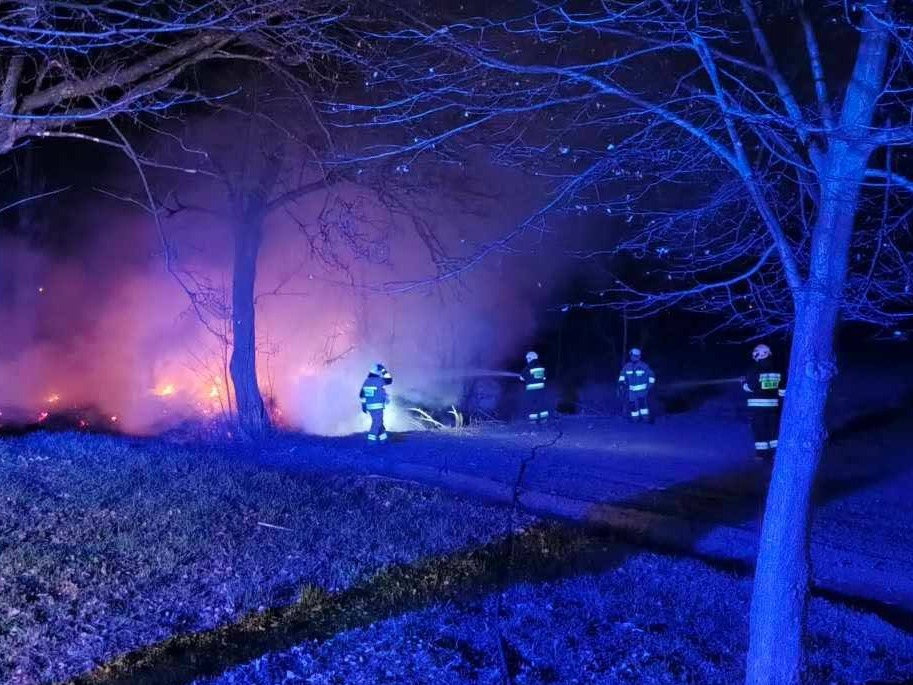 Strażacy Gaszą Pożar Liści W Parku W Urzejowicach