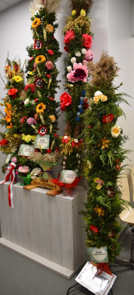 Palmy Wielkanocne W Gminie Przeworsk. Kolorowe Tradycje Kół Gospodyń Wiejskich 4 Palmy Wielkanocne W Gminie Przeworsk 2026