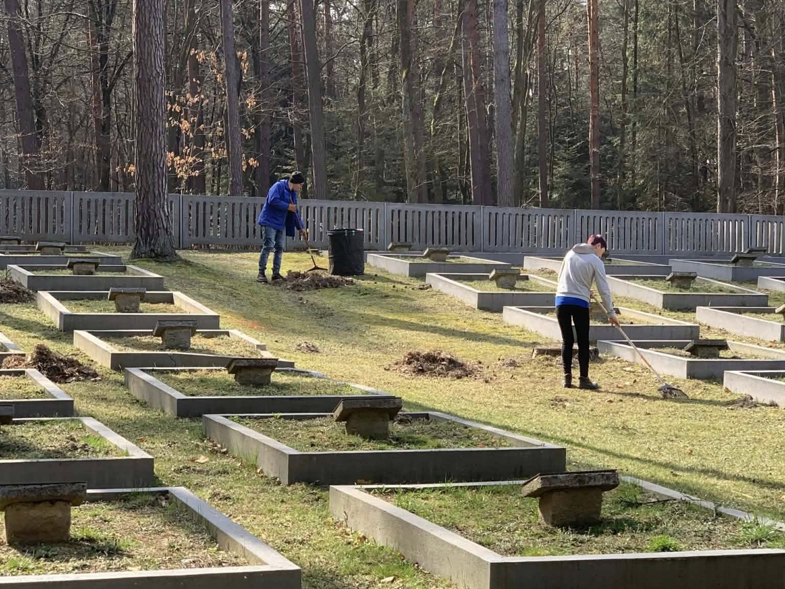 Uczestnicy Cis Sadzą Bratki I Wykonują Prace Porządkowe W Gminie Tryńcza