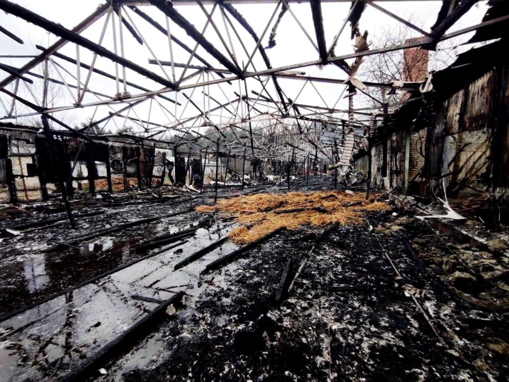 Pożar budynku inwentarskiego w Tryńczy 2026