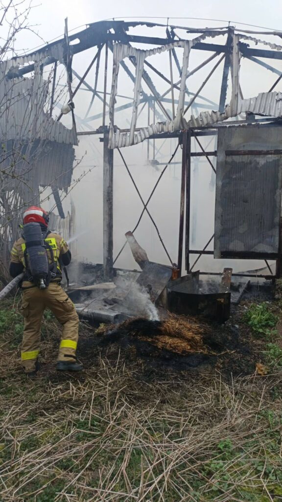 Płonął Budynek Inwentarski W Tryńczy. Duża Akcja Strażaków Z Powiatu Przeworskiego 2 Płonął Budynek Inwentarski W Tryńczy. Duża Akcja Strażaków Z Powiatu Przeworskiego