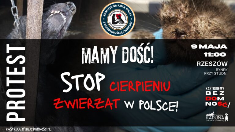 Kastrujemy bezdomność- protest w Rzeszowie