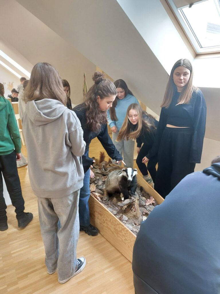 Niezwykła Lekcja W Nadleśnictwie Sieniawa. Poznali Supermoce Sów I Alpinistyczne Techniki