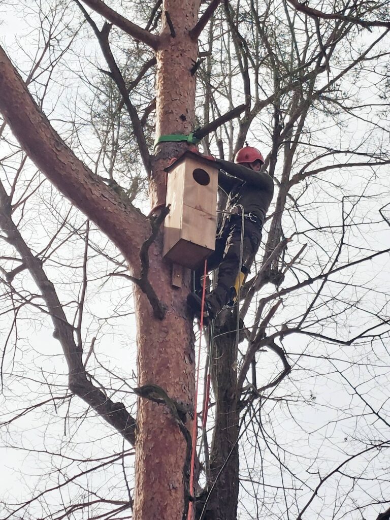 Niezwykła Lekcja W Nadleśnictwie Sieniawa. Poznali Supermoce Sów I Alpinistyczne Techniki
