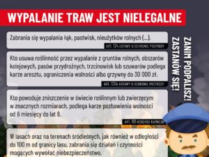Stop wypalaniu traw