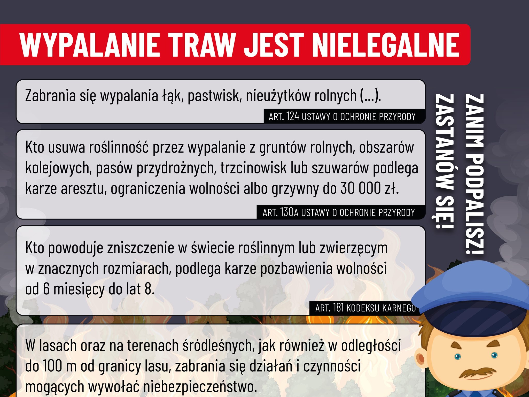 Lokalna Gazeta Internetowa 36 Stop Wypalaniu Traw