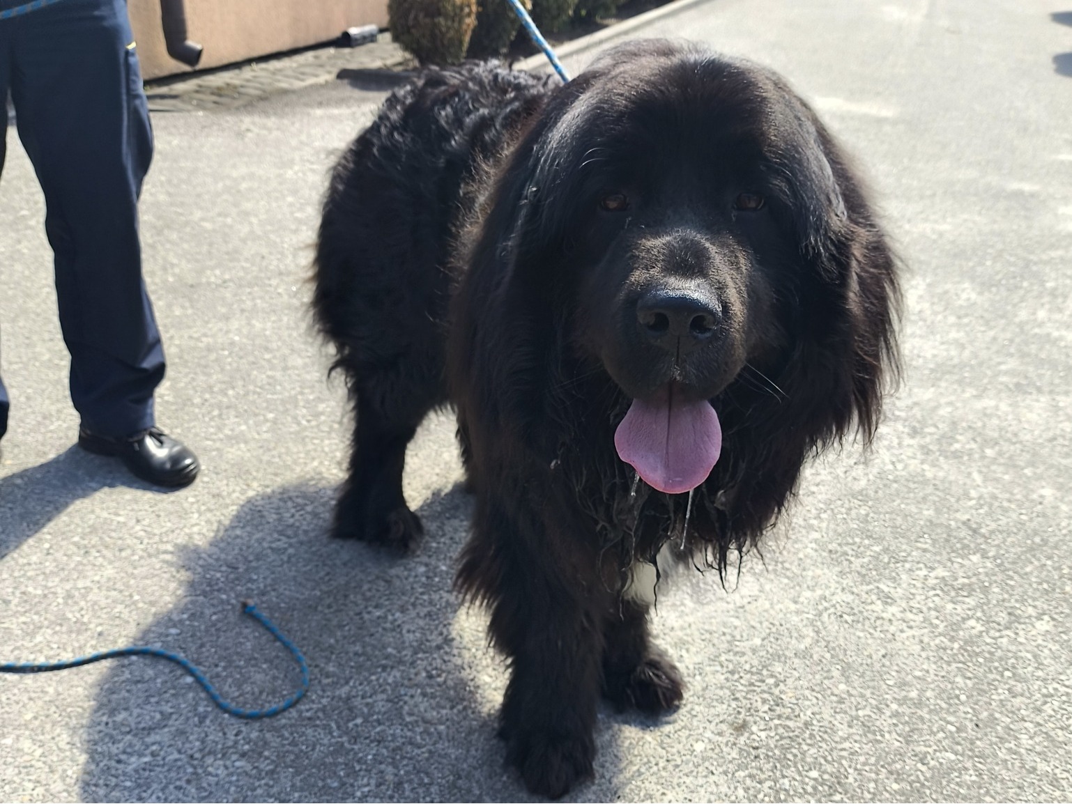 Lokalna Gazeta Internetowa