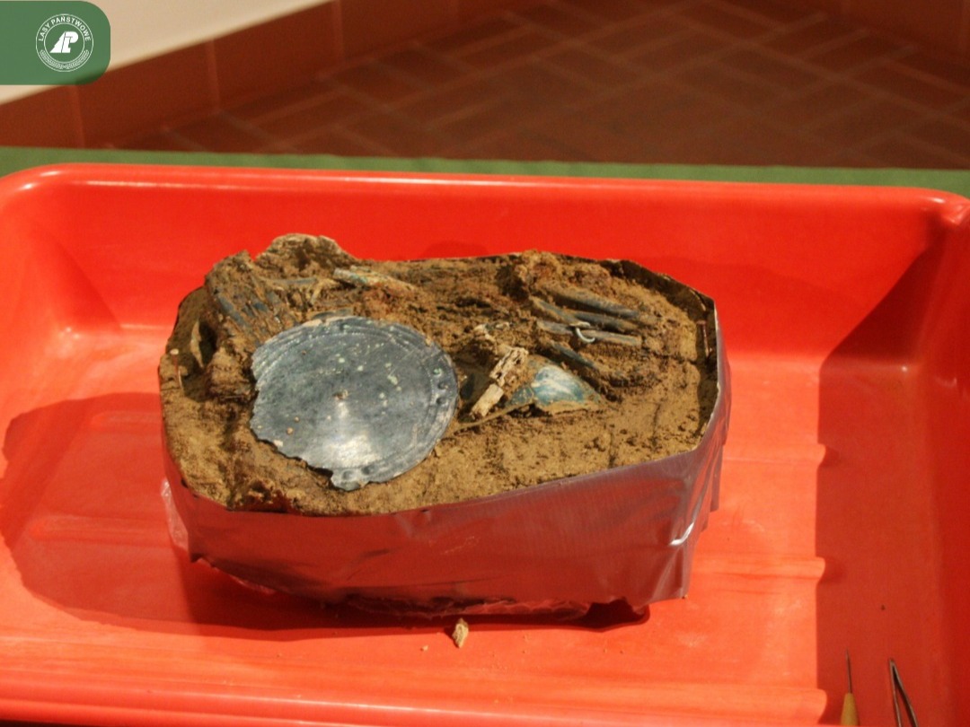 Lokalna Gazeta Internetowa