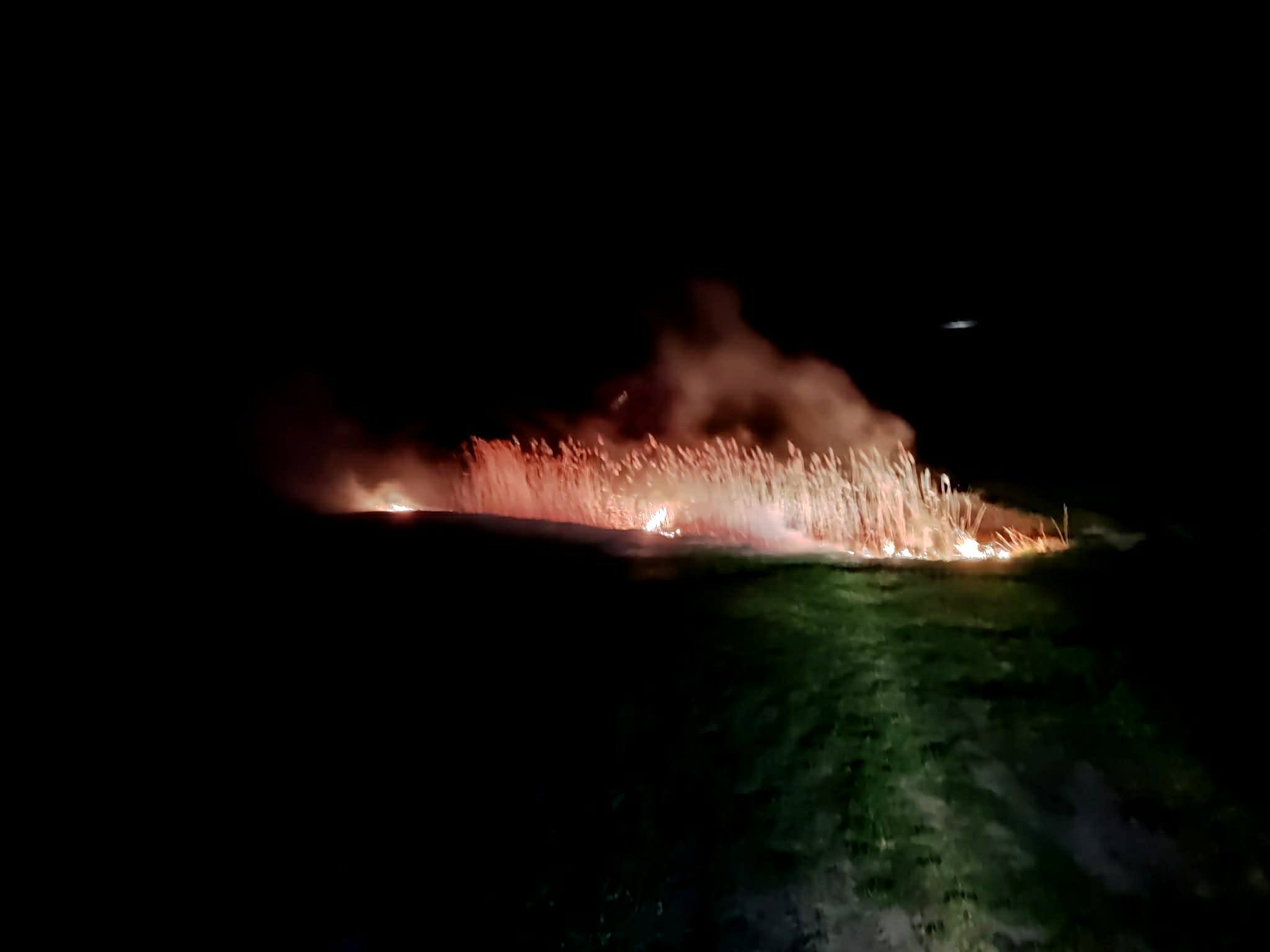 Lokalna Gazeta Internetowa