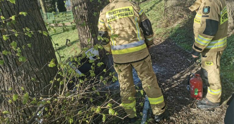 Pożar w parku w Łopuszce Małej