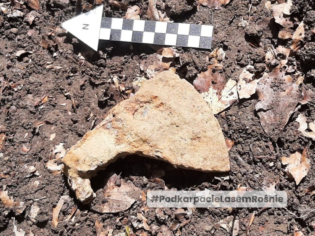 Topór bojowy znaleziony w lesie