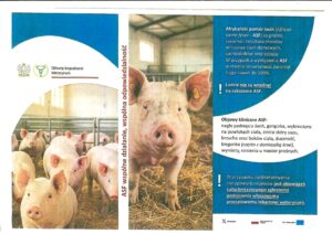 Ulotka informacyjna o ASF