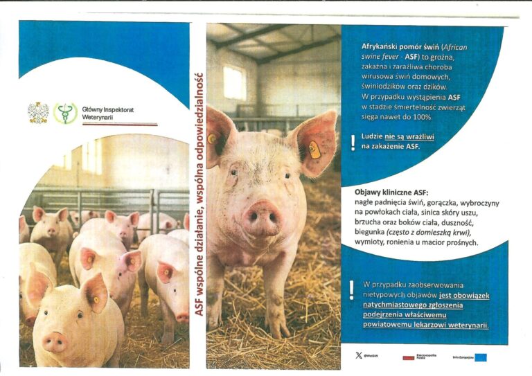 Ulotka informacyjna o ASF