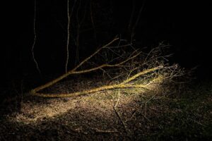 Drzewo zablokowało drogę w Czercach. Wieczorna akcja straży pożarnej