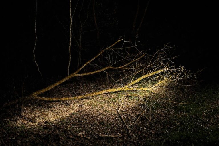 Drzewo zablokowało drogę w Czercach. Wieczorna akcja straży pożarnej