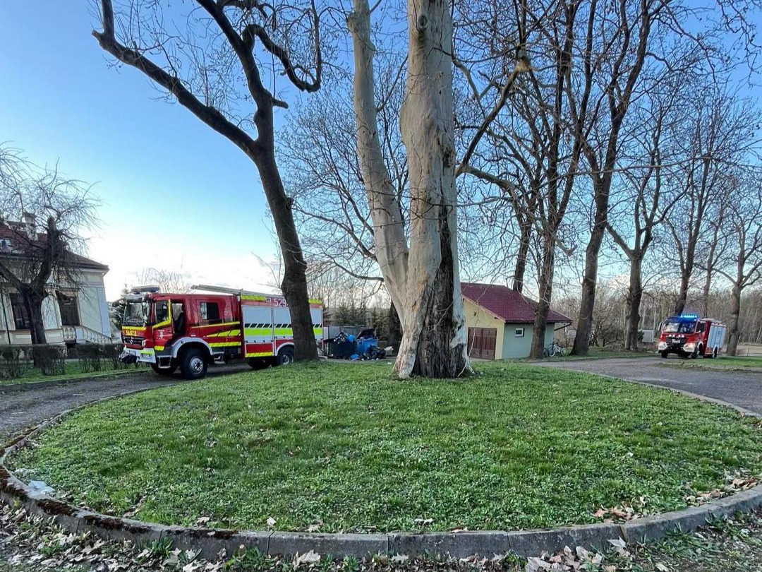 Pożar Drzewa Od Petardy W Łopuszce Małej