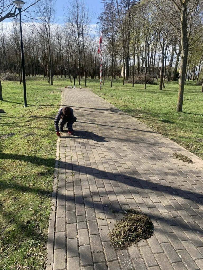 Poświąteczne Porządki W Gminie Tryńcza