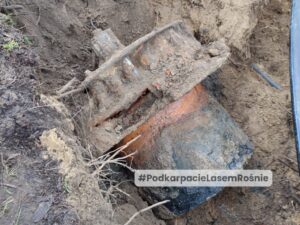 Tajemnica młyna nad Lubaczówką. Niezwykłe znalezisko leśników w Radawie